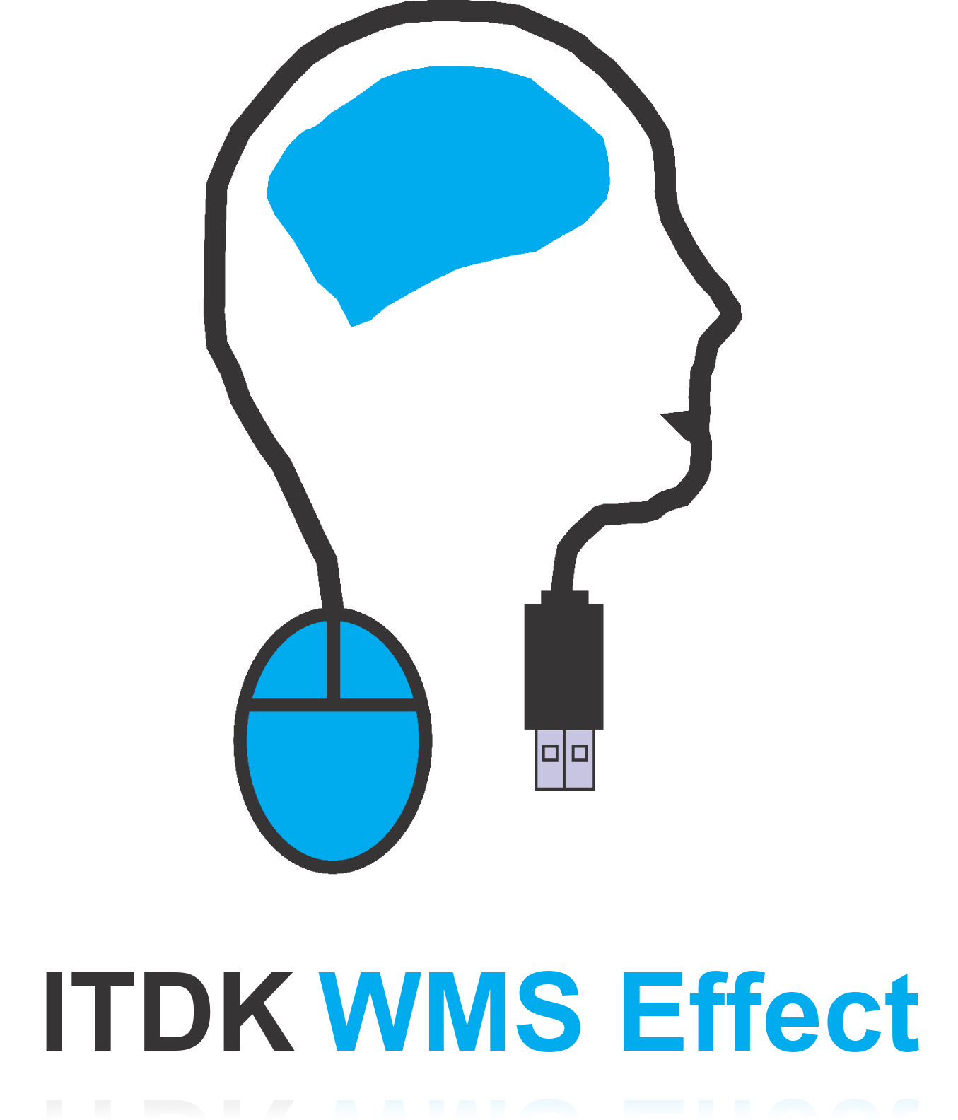 ITDK WMS Effect лого с текст